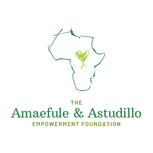The Amaefule & Astudillo Empowerment Foundation